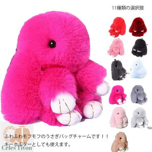 S11F obO`[ t@[ ETM L[z_[ D L[O ꎨ `[ _炩 ӂӂ ̓ LO Ǝ  o^Cf[ v[g