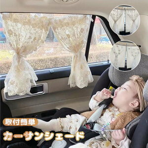 TVF[h ԗp J[e J[TVF[h J[e xr[ Ԃ i`  JtFJ[e   TCh J[pi J[e ԗpJ[e 킢 ؍ 