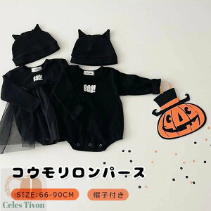 xr[ p[X  j̎q ̎q RE nEB nEB[ ߑ  2_Zbg Xqt q s[X RXv   o z[ LbY q RX`[