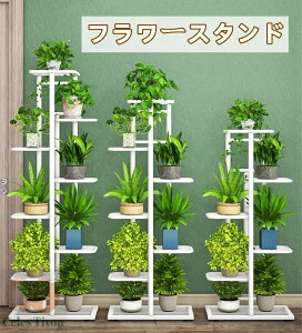 t[bN t[X^h 2F 3i i41cmjsi22cmji57.5cmj XeX A I ԑ |bN K[f A ~͒I | ԒI A AؔX^h x