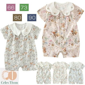   p[X V[gI[ _炩  Jo[I[ xr[ OJ k j̎q ̎q j q xr[ V