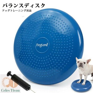 oXfBXN p ybg hbOoXfBXN o[Vu ybgp ^ ^ ^g[jO ̊oX ^s