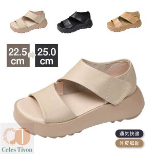 gȌT_ fB[X T_ 5cmq[ Od lԍHw Be[WX^C 