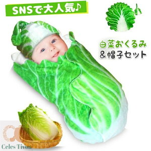   V Ԃ xr[ Xqt uPbg Q    SNSf oYj MtgΉ {Q  CX^  oYj މ@j