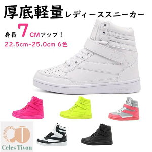 Xj[J[ fB[X  nCJbg  y b L ^C V[Y Cq[Xj[J[ r lC yXb| nCq