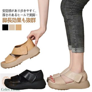 b T_ ʋC ₷ T_ EH[LOV[Y Od gAbv r y X|[cT_ fB[X