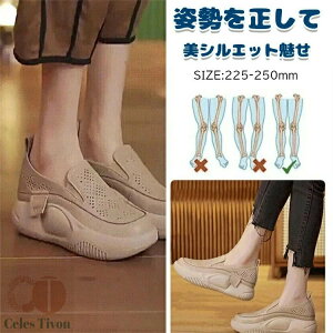  pvX EhgD胍[t@[[fBXV[Y JWAV[Y fB[X RȂ Xj[J[ fB[X Xb| bV  Xj[J[ i[XV