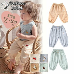 xr[Y{ xr[ pc qY{ j̎q ̎q 100% 킢 xr[ pc q V Ԃ {gX  