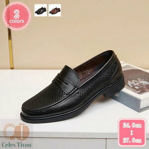 rWlXV[Y bV Y T_ amC EH[LO JWA y K Ȃ hL ʋC [t