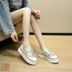 Xj[J[ 4.5cm fB[X JWA WjA LoX [Jbg tďH R[gV[Y ʋC Vv x[VbNXj[J[ R ؂ tbgV[Y 傫TC