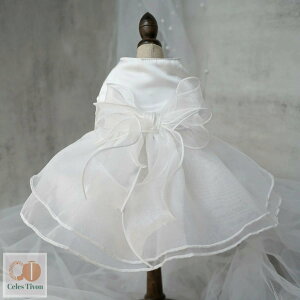  3F XS~XL t  H hbOEFA hX ̕ EFfBOhX ybg  킢 s[X ̎q p[eB[hX  j OhbO LOp[eB[ 