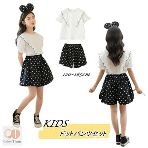 ZbgAbv ̎q LbY ؍q hbgpcZbg ĕ  K[Y uEX t V[gpc 2_Zbg X|[cEFA AEghA  JWA ㉺ XEFbg 