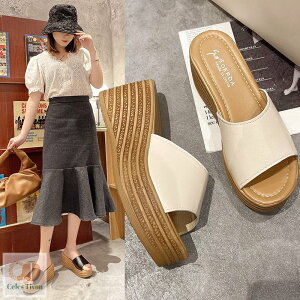 RtH[gT_ fB[X EFbW\[ fB[X ₷ T_ C nCq[ Xbp  y ɂȂ r[`T_ C xN ʋ X|[cT