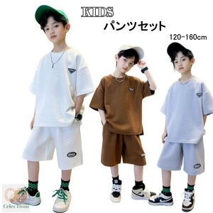 ZbgAbv j̎q LbY ؍ q pcZbg _XEFA   TVc V[gpc 2_Zbg X|[cEFA jOEFA   ĕ  pW} ㉺ 