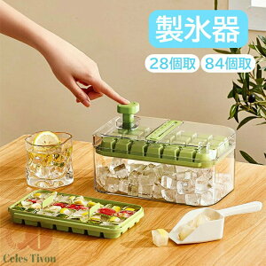 XM 28 56 ŕX X e XXRbvt ֗  Ⓚۑ ƒp ݕ XoȒP  O[