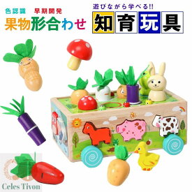 【31点セット】モンテッソーリ おもちゃ 知育おもちゃ 木製 パズル モンテッソーリ教具 木のおもちゃ 積み木 型はめ 形認識 色認識 果物 動物 はめこみ 形合わせ 指先訓練 脳トレ 子ども誕生日おプレゼント女の子男の子6ヶ月1歳2歳3歳4歳 人気ギフト 送料無料