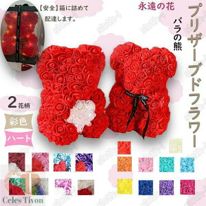 ǒF vU[uht[ ỉ o Mtg KN PEỏ SpPVCP[X hCt[ AW bsOΉ bsO{bNXt ̓ [ Ǝ җ  