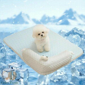 ⊴ p ybgxbh Ђ}bg ybgNbV ybg}bg \t@[ t ̂ ڐG⊴ ʋCD QSn ~ MǑ΍ ӂӂ 􂦂  L/