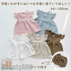 V xr[ s[X pc Zbg  o| m[X[u qǂ Vv Ԃ c xr[ Rbg xr[EGA  킢 ʉ oYj t ĕ  ̎q