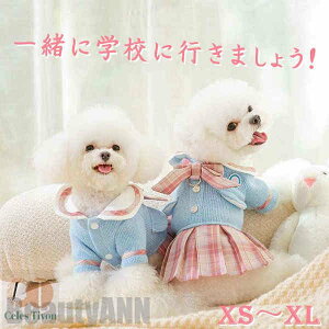 V ybg  JK w Z[^[ L  o U  Be RXv nEB[ Halloween NX}X  pȒP p Lp  ˂ ybg RX`[ Cxg p[e