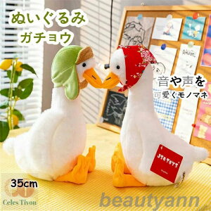 ʂ K`E ␺m}l  킢 A G 35cm 4type q Jbv