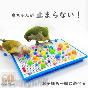 V ̂ CR  o[hgC   XgX pߋ vX`bN IJCR ZLZCCR SV{^CR ERCR ^̃CR p