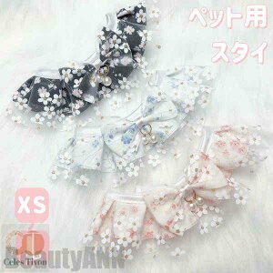 V ybgpX^C   L ^ L  `[J[ ANZT[  t [X ߂ ʐ^B蓹 LOtHg S[WX GKg ybg