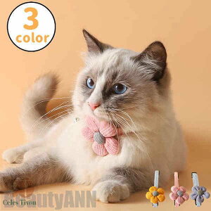 V ybgp2_Zbg ^ L  `[J[ ANZT[  t [X ߂ ʐ^B蓹 LOtHg S[WX GKg  ybgpi 2_Zb