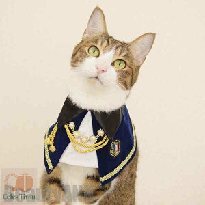 V ybgp|  L  { [X `[J[ ANZT[   t ߂ ʐ^B蓹 LOtHg  ybgpi Be v[g