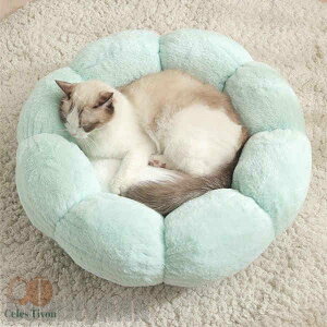 V ybgxbh ~`t[ ^ ^ ^ p O[ O[ sN Lpxbh pi Lpi ̏d4kg`9kg ybgpi ~ NbV  ybgNbV  