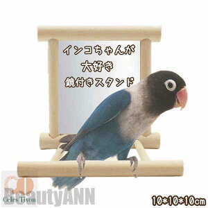 V X^h pp[`  t pi IE CR ybg  P[WX^h   R P[W~܂ ؐXe[W o[hg v[g