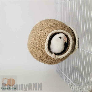 V CR  P[W   tȒP  ~܂ ܂Ƃ p[` Q    Vя  RRibc v[g