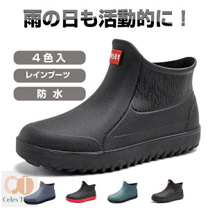 THOM WILLS Cu[c CV[Y JC tbgV[Y J V[Y h CEFA CObY ₷ amp rWlXV[Y ~J΍ ̓ v[g