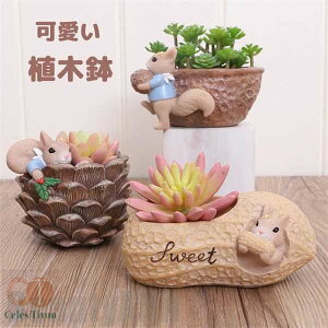 V Aؔ v^[ ~j   RPE ۃE    T{e A 񂹐A u CeA 킢  eE e  K[fjO ObY G v