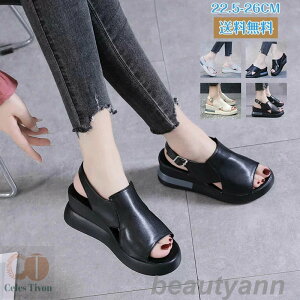 T_  xg  ₷ EGbW\[ 傫TCY ɂ ubN zCg y \[ \[ XgbvT_ dT_AItBXT_AT_