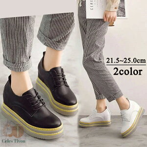 Xj[J[ [XAbv  zCg [Jbg 4cm+3cm TCY  V[Y CMX  ubN fB[X JWA