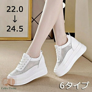 Xj[J[ fB[X    Cq[  C R ~bhJbgXj[J[ bV   q[9cm V[Y ҂ݏグ r zCg ubN TCY