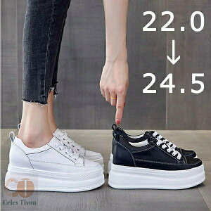 Xj[J[   Cq[ fB[X    q[8cm/5cm CЂ t R ʊw ₷ E₷ bVV[Y r EFbW\[ zCg ubN PU 