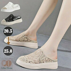 fB[X T_ q[5cm ʋC [X  V[X[ ƂȂ 傫TCY TCY EFbW\[ i JWA 킢  Xj[J[ RtH[