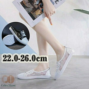 Xj[J[T_ fB[X 2cm [q[ ؂񂽂  [X  V[X[ tbg ƂȂ i JWA 킢 X|[eB ₷ r V[Y C 