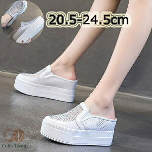 250~OFFN[|zzXj[J[ ~[ fB[X  ʋC  bV V[X[  tbg q[8cm ƂȂ TCY Vo[  zCg i 