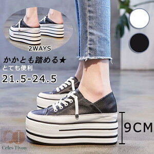 250~OFFN[|zzXj[J[ fB[X  zCg  ubN  Cq[ ƂȂ Ƃ 2WAYS q[9cm LoX Xb| t  R T{T_ T_