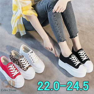  Xj[J[ Cq[ fB[X C t Xj[J[ JWA  q[6cm i r ʊw IV ֗ ؍ ysz    qE