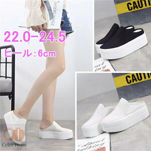  Xj[J[ ƂȂ Cq[ fB[X C t Xj[J[ JWA  q[6cm i r ʊw IV ֗ ؍ ysz  