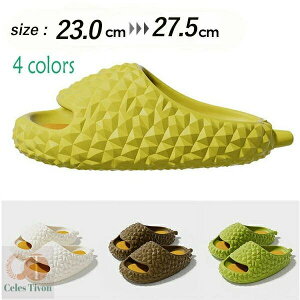 Xbp hA` [V[Y T_ ƒp O r[`T_ fB[X Y y ϖ W[ AEghA r[`T_ LbY  ~ e͐  