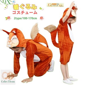 ѕz X  pW} qp xr[ I[C [EFA LbY o   ߑ NX}X v[g