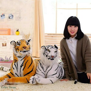 ʂ  Ƃ  40cm~170cm 킢   v[g NX}X a j v[g q̓