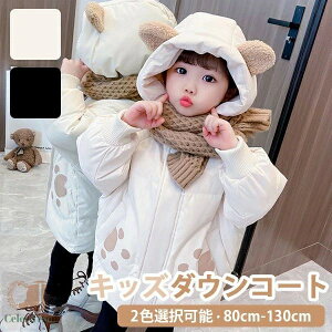 _ER[g̎q _EWPbg q N}~~ t[h G ʊw JWA LbY h H~ WjA AE^[ ~ ʉ AEghA LbYWPbg R[g  ΍ 