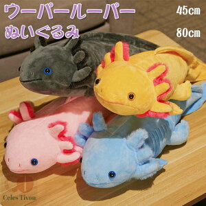 E[p[[p[ ZpC ʂ q C E[p[[p[   xbh ߋ ӂӂ  ̎q j̎q 킢 Mtg oYj  CeA AJn