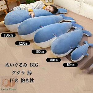 ʂ BIG NW ~ rbO    ߂̂ʂ  YQ Q 킢 ӂӂNbV X j Mtg CeA G    蕨 15